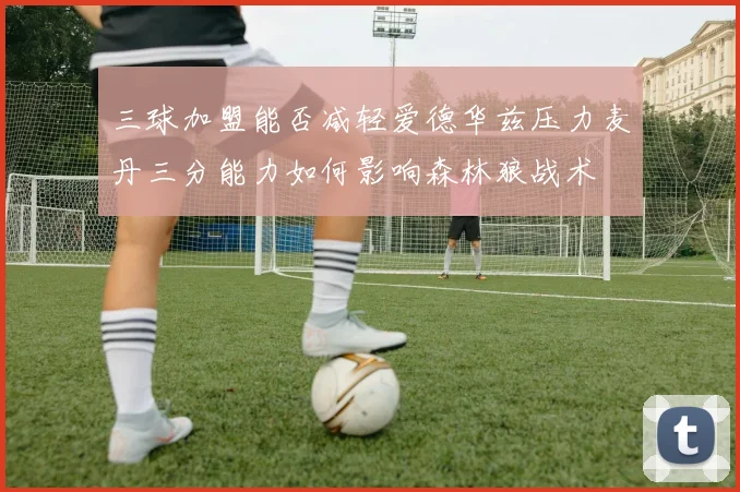 三球加盟能否减轻爱德华兹压力麦丹三分能力如何影响森林狼战术