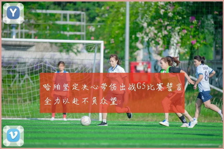 哈珀坚定决心带伤出战G5比赛誓言全力以赴不负众望