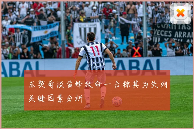 东契奇谈黄蜂致命一击称其为失利关键因素分析